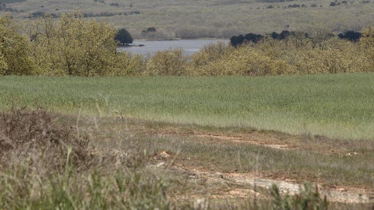 Terrenos en los que se quería ubicar la granja de Cidones.-M.T.