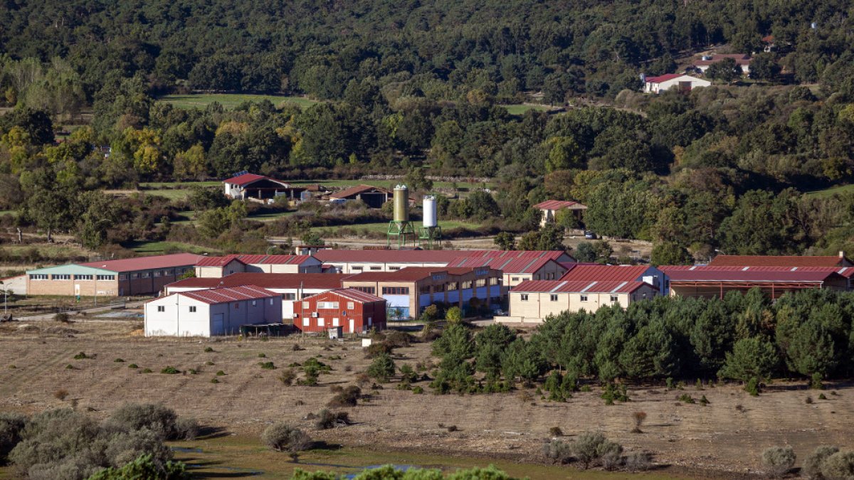 Polígono La Cepeda en Vinuesa. MARIO TEJEDOR