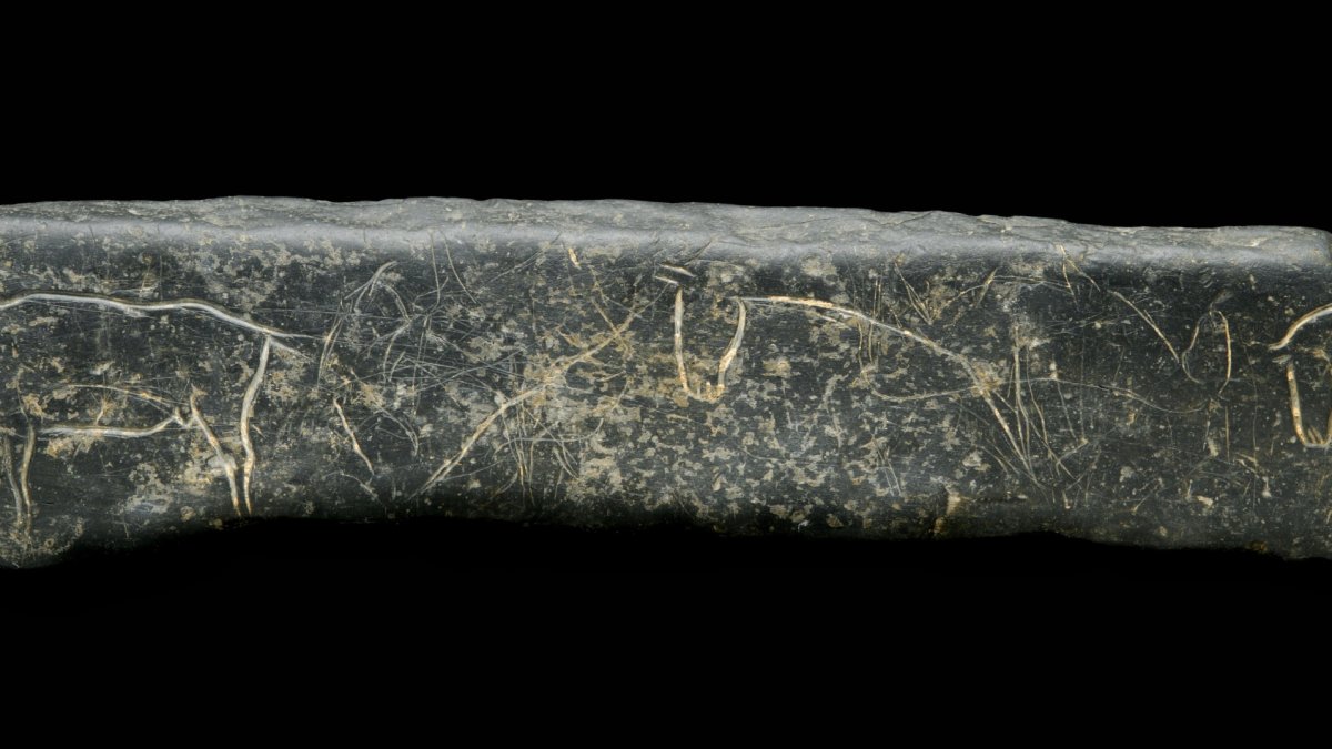La Placa de Villalba, la gran pieza paleolítica del Museo Numantino. HDS