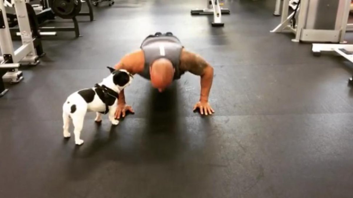 Dwayne, 'La Roca', Johnson, realizando el '22 push-up challenge'.-therock / INSTAGRAM