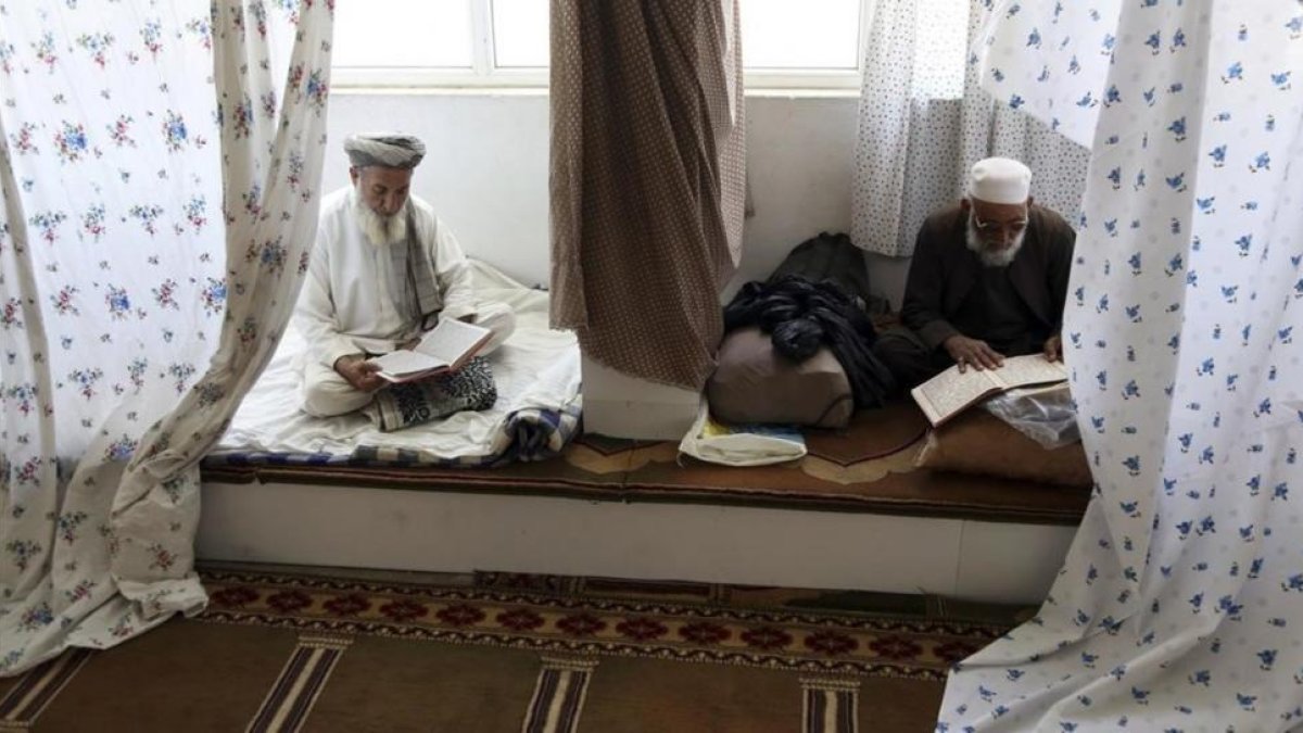 Musulmanes afganos leen versos del Corán en una mezquita de la ciudad de Kabul. /-AP