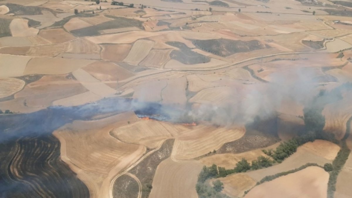 Campos quemados en el incendio de Bordalba. HDS