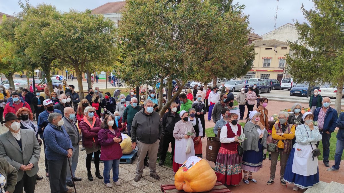 Concurso de calabazas celebrado en San Esteban de Gormaz. HDS