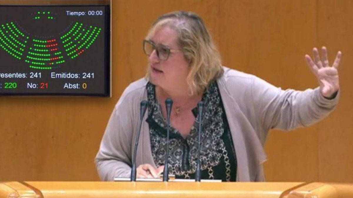 La diputada de En Marea (Grupo Unidos Podemos En Comú Podem) Celia Cánovas, junto al resultado de la votación sobre la nueva Ley Orgánica de Protección de Datos el pasado 21 de noviembre.-SDE