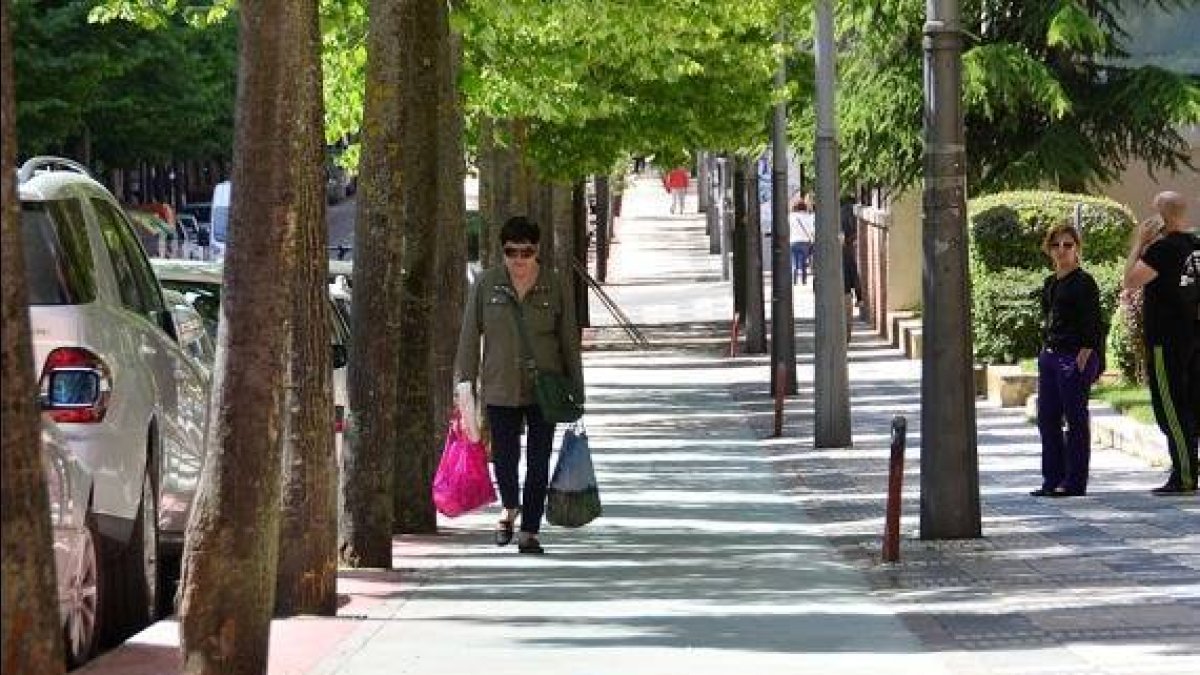 Carril bici de Soria. -