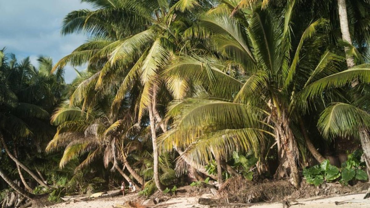 Isla de Sainte- Marie, en Madagascar, donde han aparecido los cuerpos de los ecologistas asesinados.-RIJASOLO / AFP