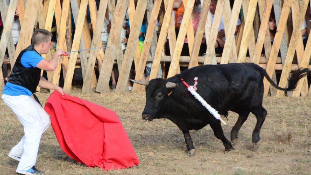 Festejo celebrado en la tarde de ayer en Vinuesa.-ÁLVARO MARTÍNEZ
