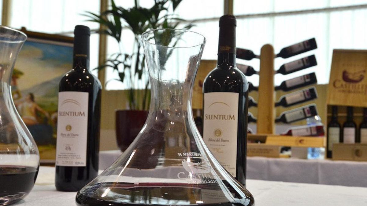 Vinos de la Ribera de la provincia de Soria.-A.M.