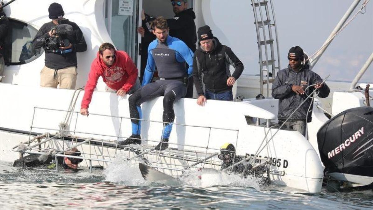 Michael Phelps, a punto de saltar al agua para el programa de Discovery en Español.-DISCOVERY CHANNEL