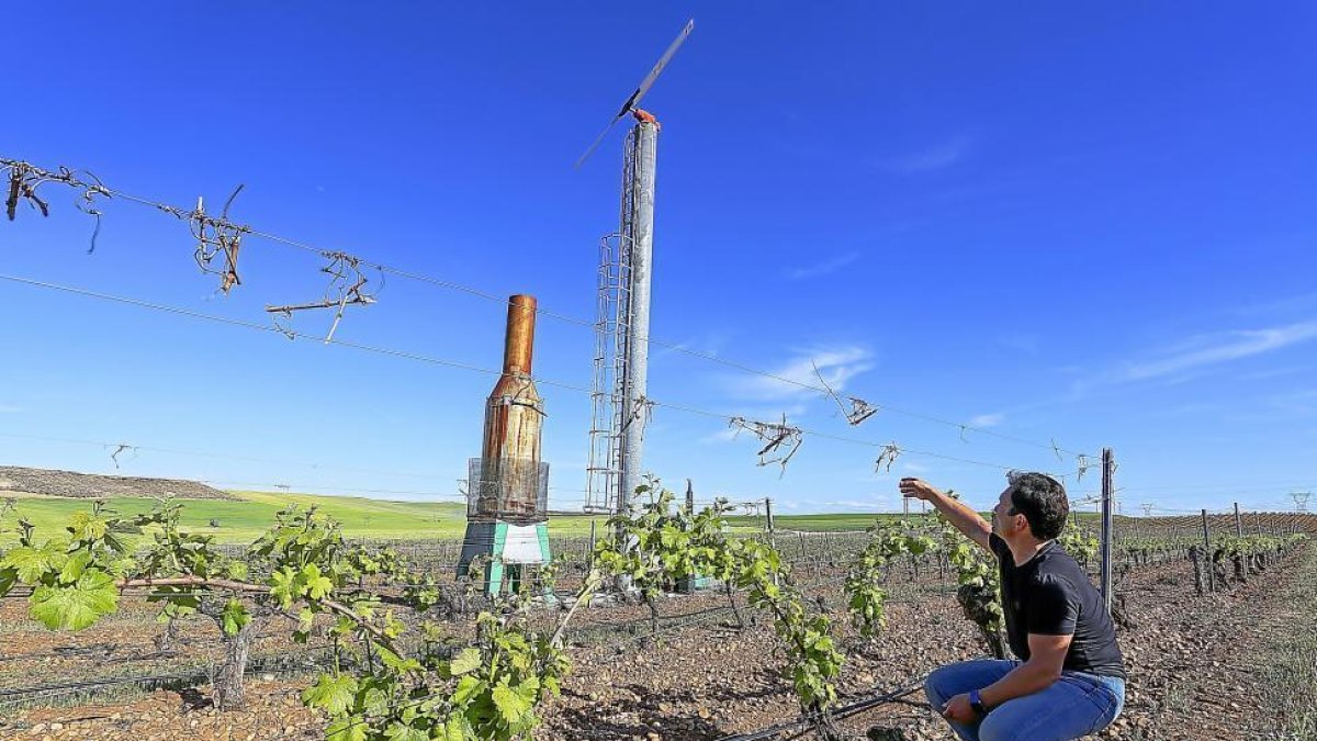 Algunas bodegas de Castilla y León tienen instalados desde hace años sistemas para combatir las heladas en los viñedos-ICAL