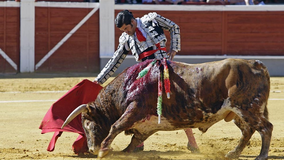 Morante de la Puebla estuvo muy discreto en su aparición en Soria, en el año 2010. HDS