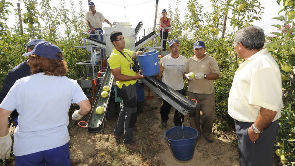 Imagen de archivo de las tareas de recolección en la planta de Nufri. / VALENTÍN GUISANDE-