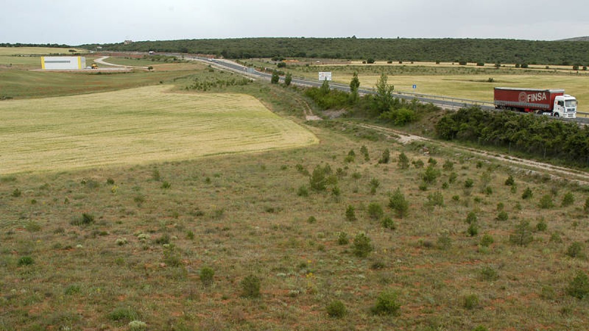 Terrenos de los Marichalar.-