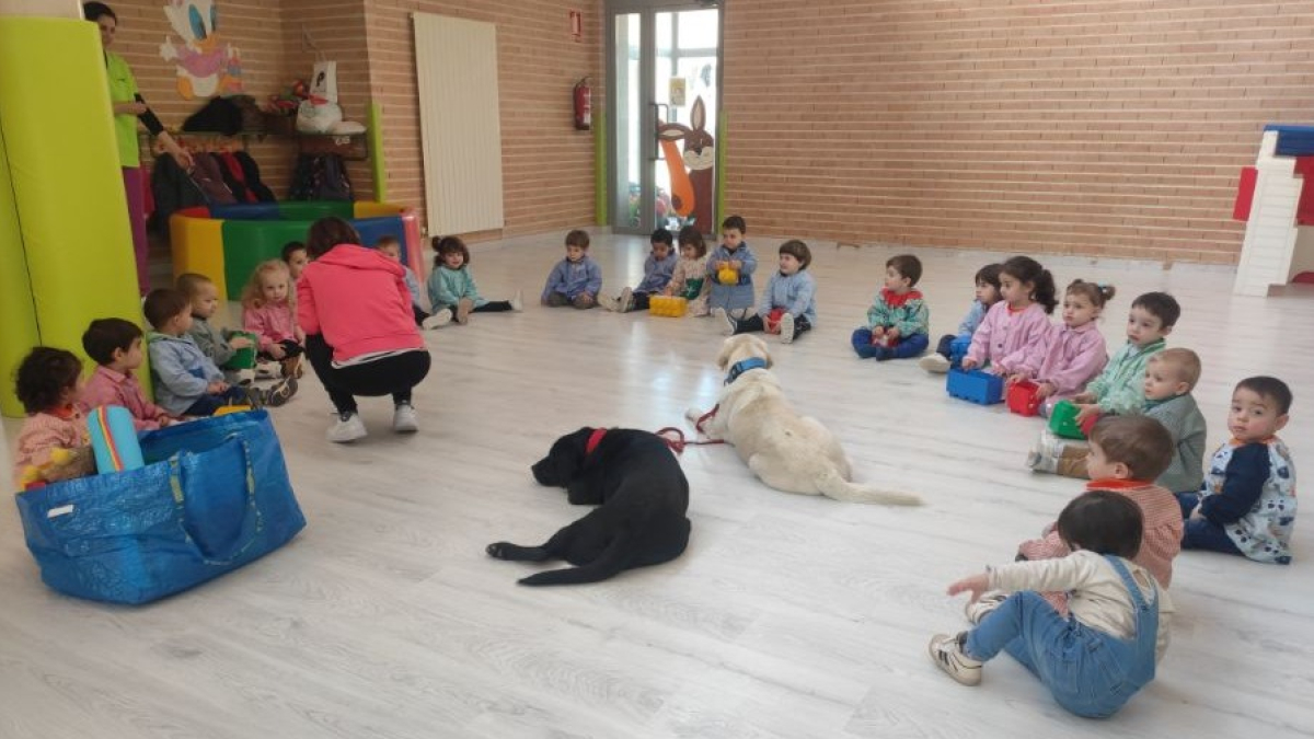 Sesión en el colegio La Alameda con dos perros.-A. HERNANDO