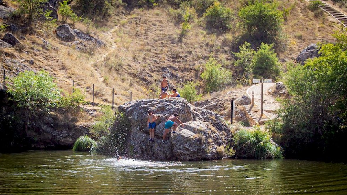 Refrescándose en el Duero. MARIO TEJEDOR