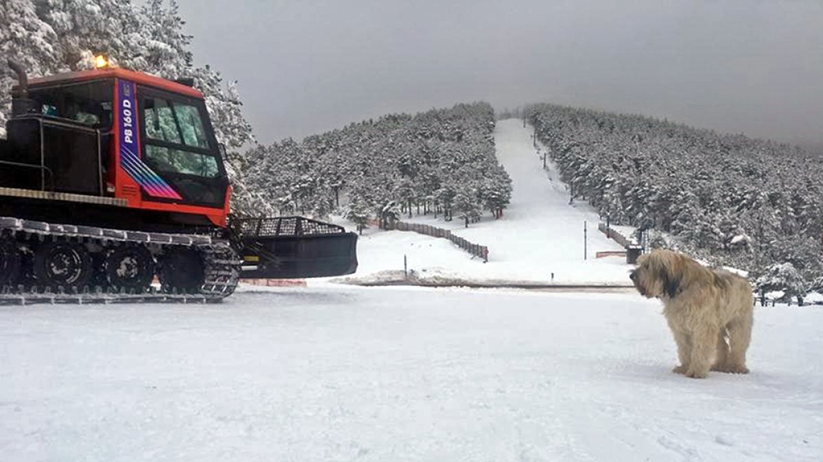 Punto de nieve de Santa Inés. HDS