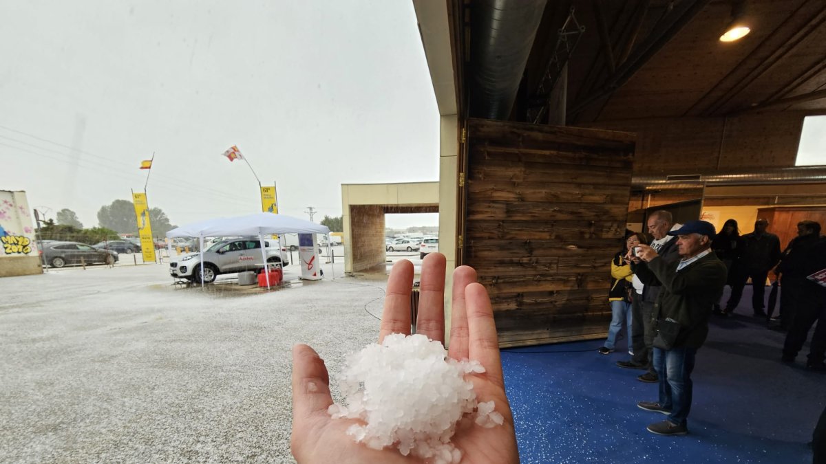 Una granizada sorprendió ayer a la localidad soriana de <strong>Almazán</strong> precisamente el día que inauguraba su afamada <strong>Feria de Muestras.</strong> El granizo paralizó por un momento la feria adnamantina, pero los mayores problemas se produjeron en otros puntos de Soria por donde pasó la tormenta. A la altura de <strong>Torreblacos, </strong>en la <strong>Autovía del Duero,</strong> se produjeron varias colisiones con varios vehículos implicados.