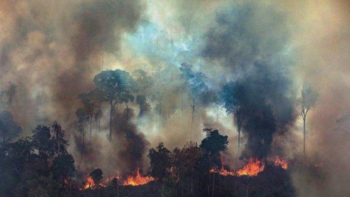 La Amazonía brasileña registró los meses de agosto y septiembre sus peores incendios en más de una década.-GREENPEACE