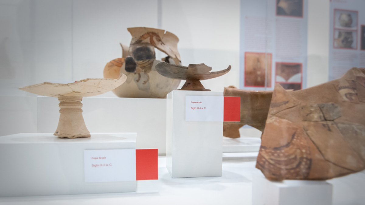Exposición temporal en el Museo Numantino.-MONTESEGUROFOTO
