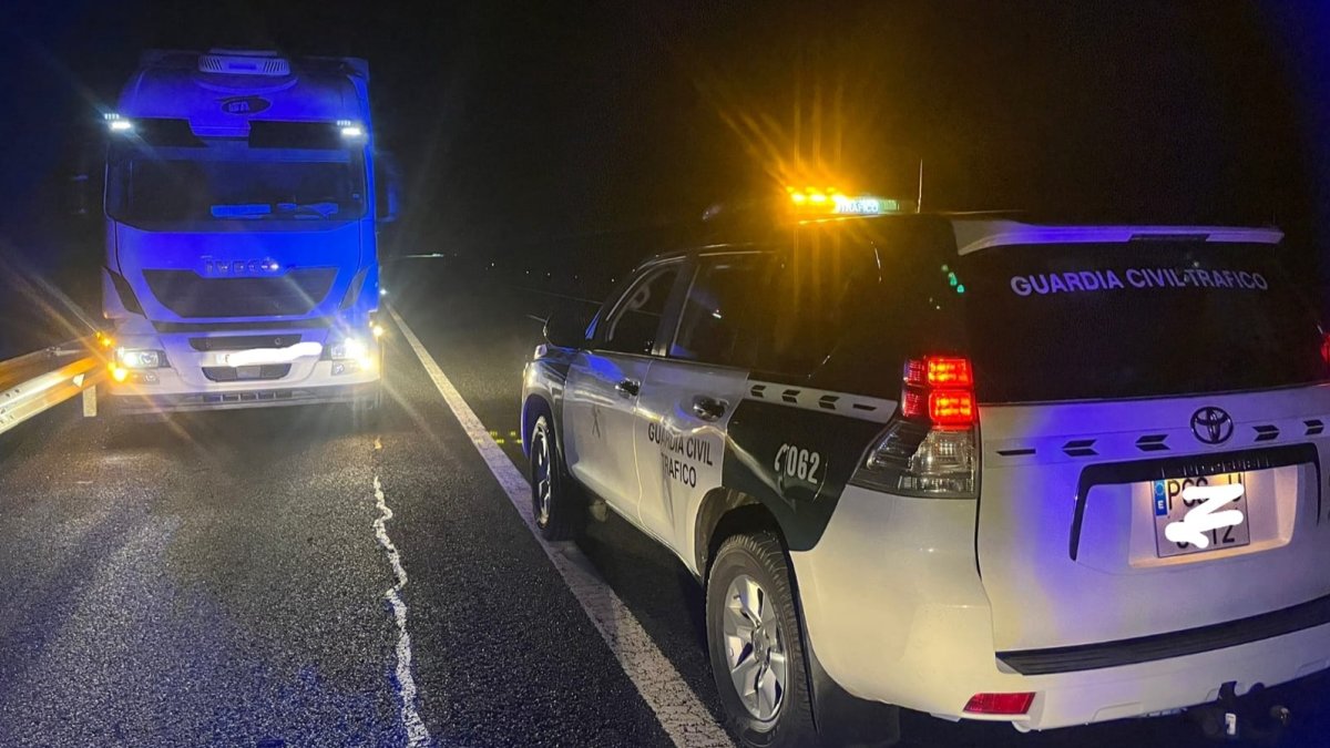 El camión parado por la Guardia Civil.-HDS