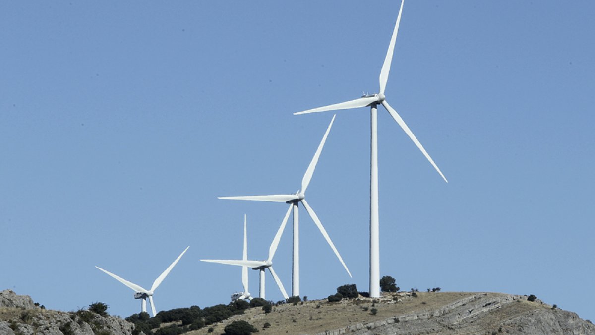Un parque eólico de la provincia. HDS
