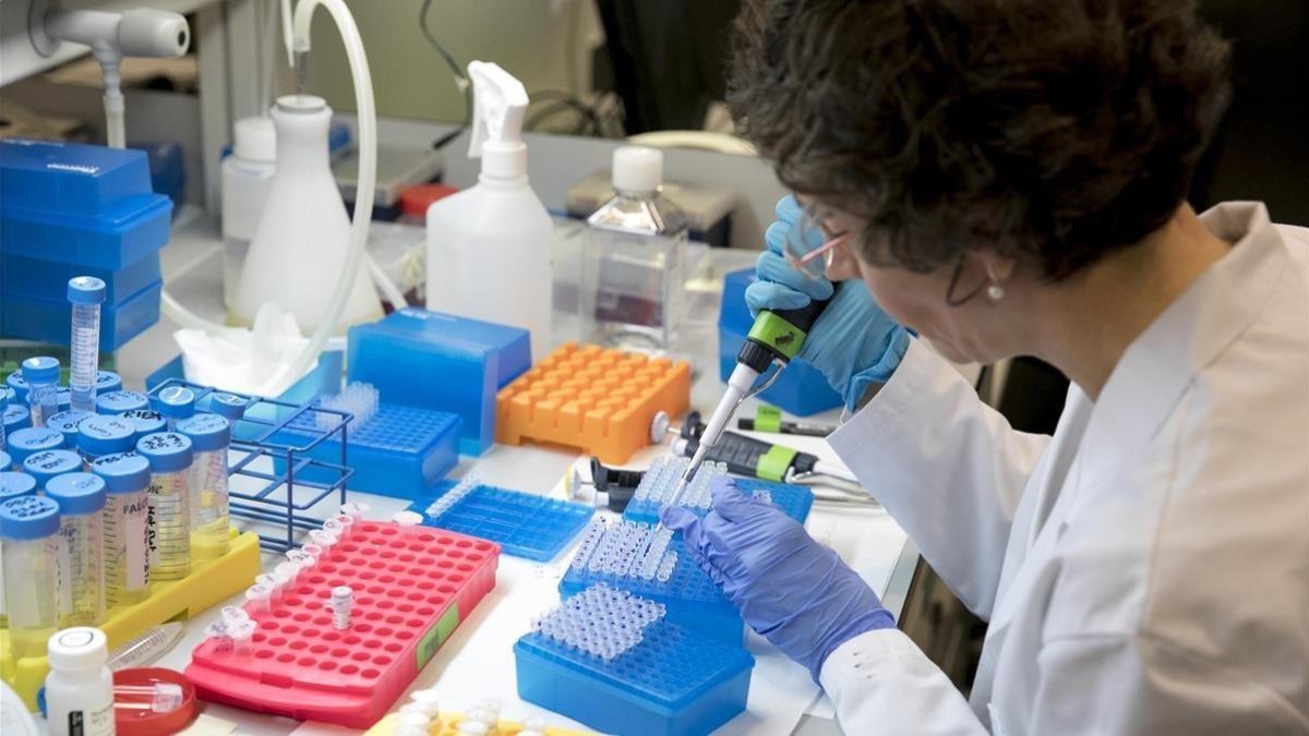 Imagen de un investigador científico durante su labor en el laboratorio.-FERRAN NADEU (EL PERIÓDICO)