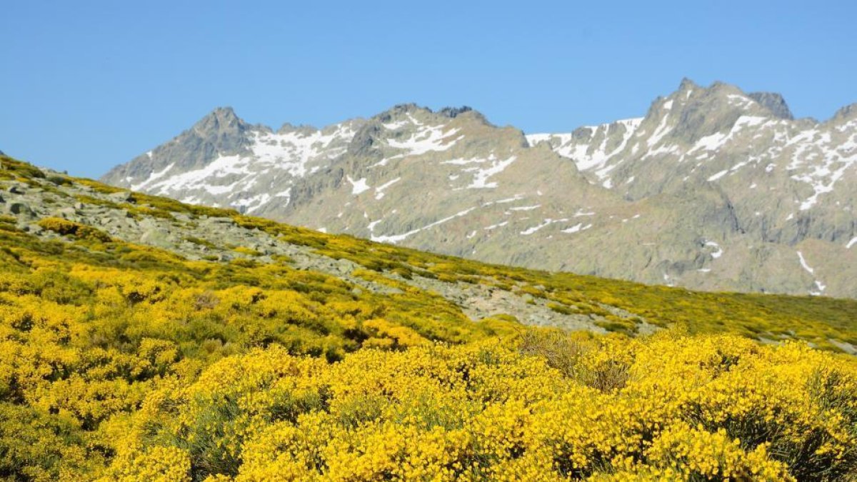 Aspecto que presentan las vertientes de Gredos durante estas semanas-EDU HINOJAL. FOTOGRAFÍA