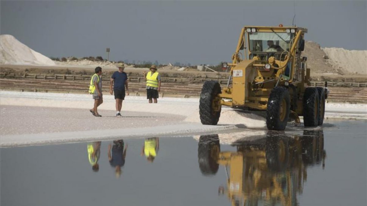 Primer dia de la campaña de recoleccion de sal en las Salinas de la Trinitat del delta del Ebro.-JOAN REVILLAS