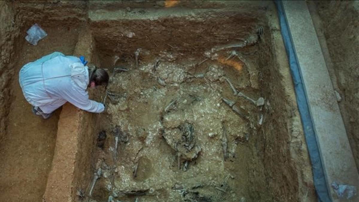 Restos de 60 fusilados de la represión franquista en una fosa común 113 del cementerio de Paterna (Valencia).-MIGUEL LORENZO