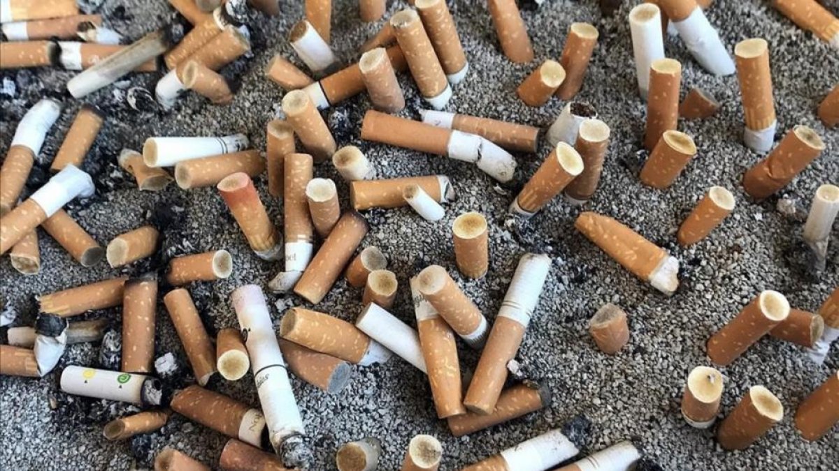 Un cenicero lleno de cigarrillos junto al aceso de un hospital barcelonés.-XAVIER JUBIERRE