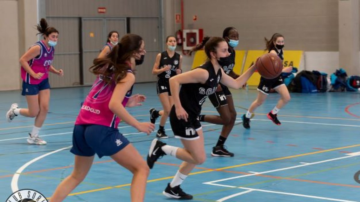 El Cadete Femenino del Club Soria Baloncesto viajará a Aranda de Duero. HDS