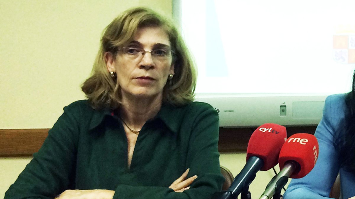 Isabel Galán es presidenta del Colegio Profesional de Enfermería de Soria. HDS