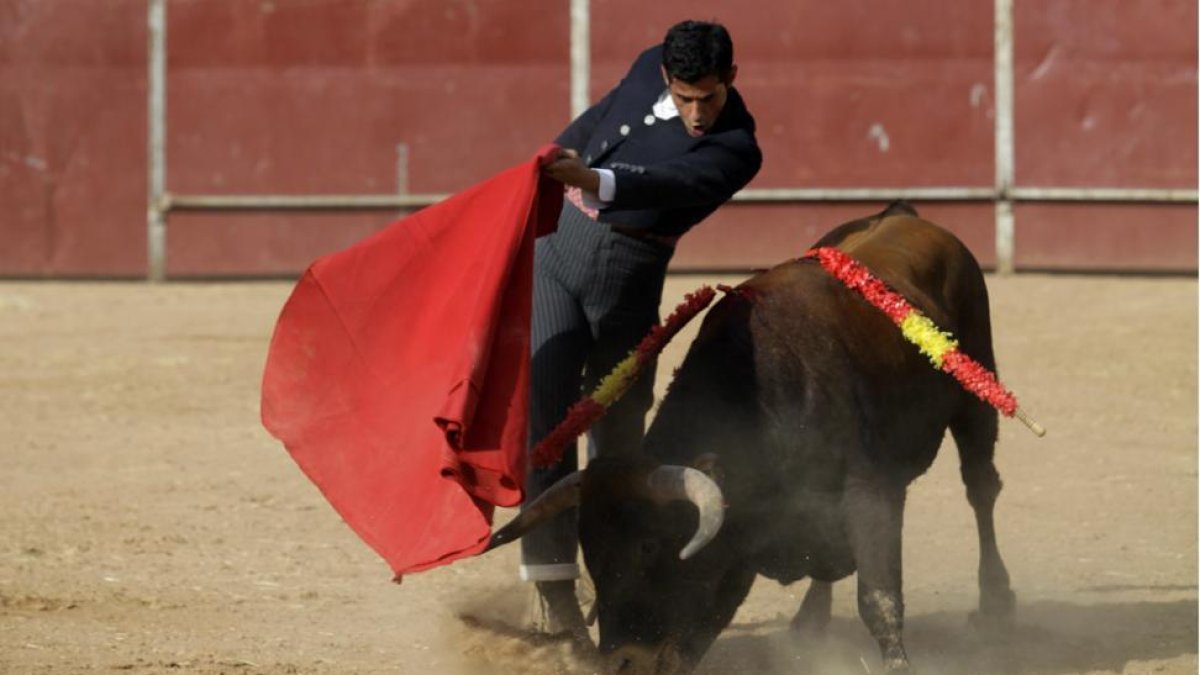 Víctor Janeiro, triunfó en Berlanga de Duero-D. M.