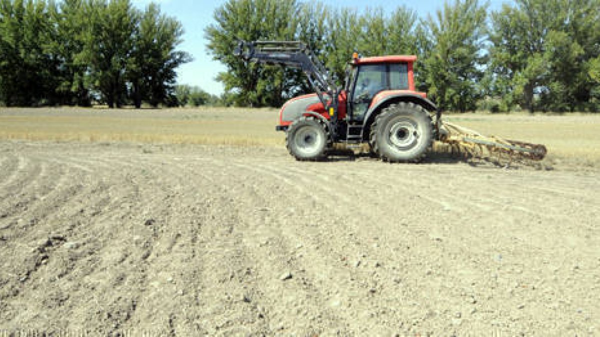 Un agricultor en los trabajos de su explotación. / V. G. -