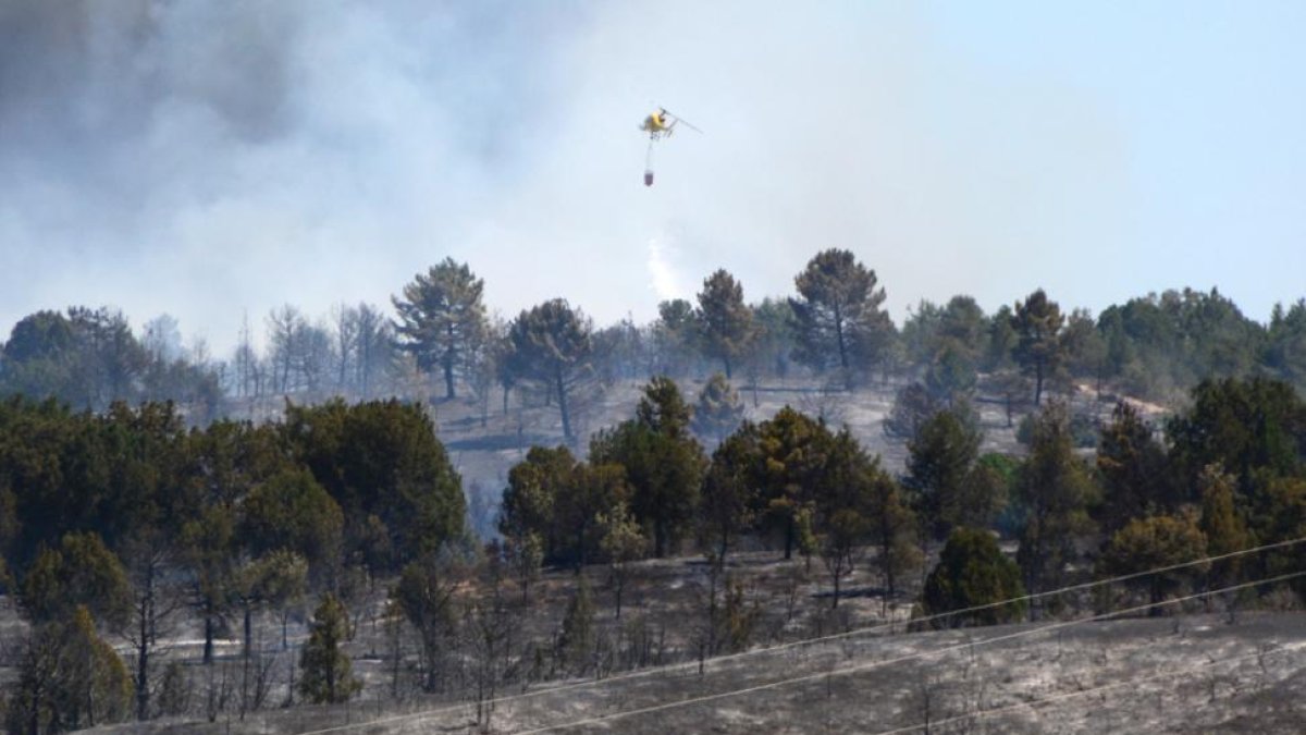 Imagen de archivo del incendio declarado el 28 de julio de 2015 en Barcebalejo.-ALVARO MARTÍNEZ