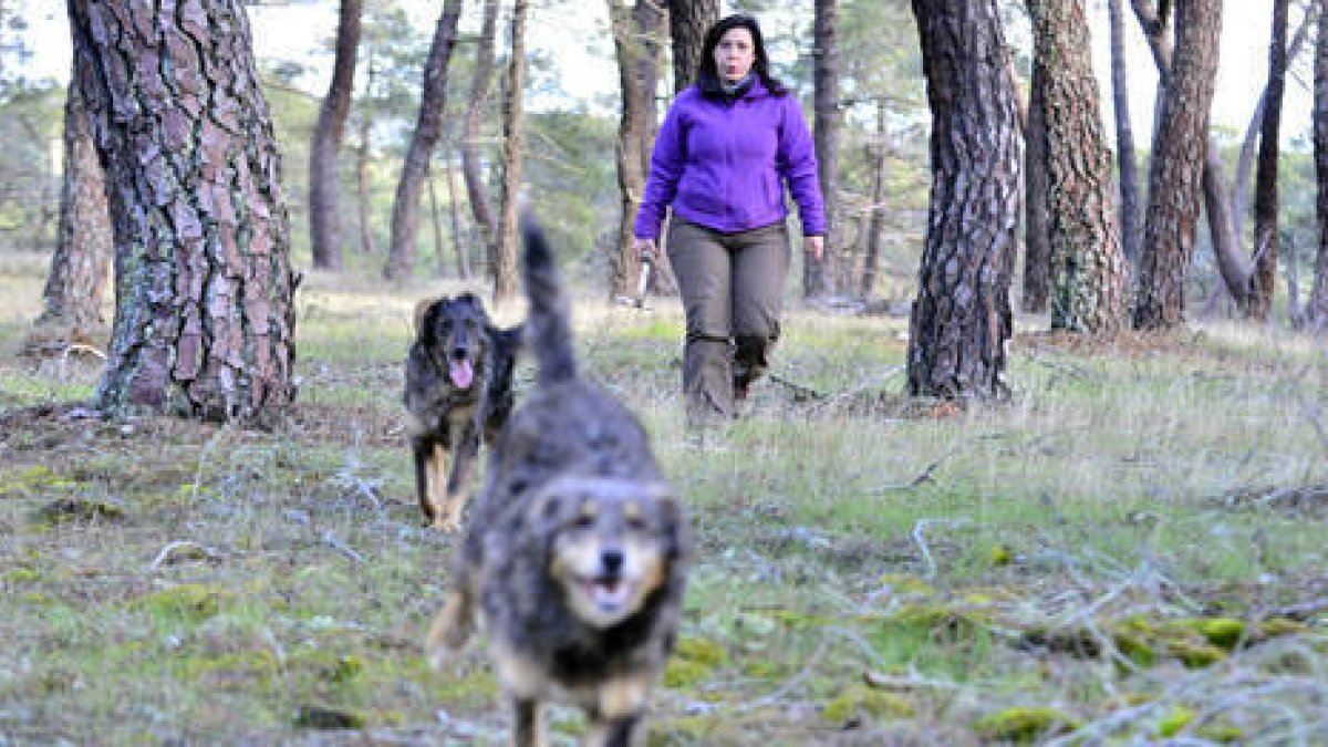 Verena Garijo Gómez quiere atreverse esta temporada con 5.000 pinos. / ÁLVARO MARTÍNEZ-