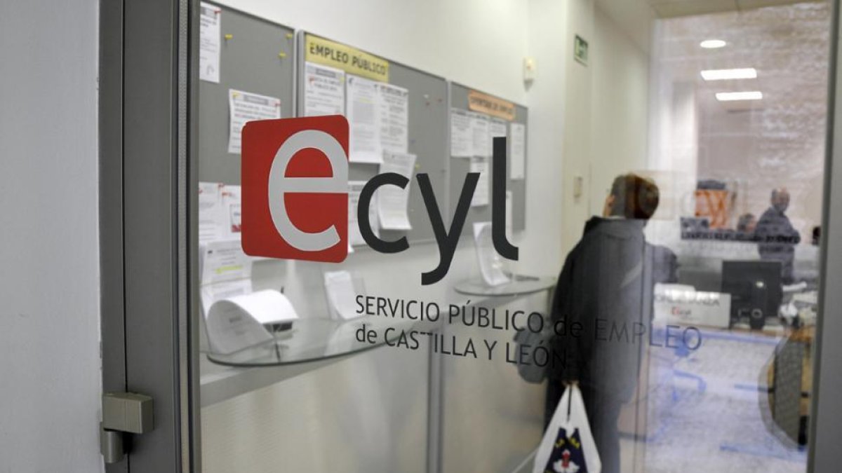 Una mujer observa documentación en el Ecyl.-VALENTÍN GUISANDE