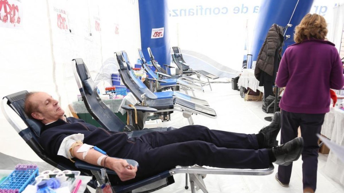Carpa de donación de sangre en la calle Acera de Recoletos (Valladolid).-ICAL