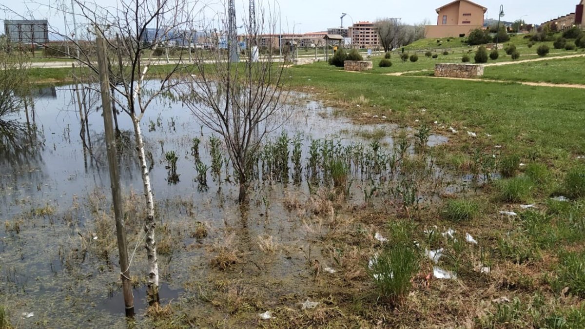 Imagen de la charca con guantes tirados.-M.M.