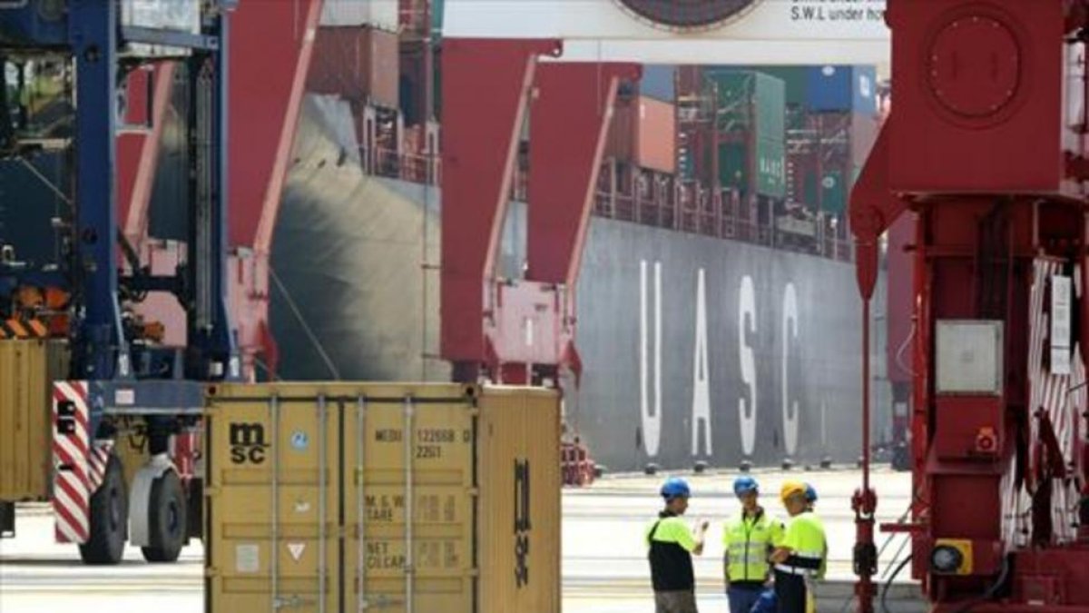 Estibadores en la terminal de contenedores en el muelle de Barcelona.-DANNY CAMINAL