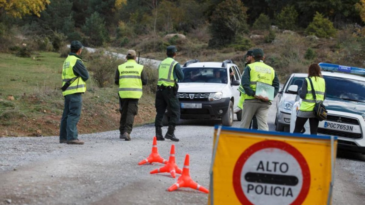 Operativo coordinado de la Junta de Castilla y León y la Guardia Civil para control de los aprovechamientos micológicos.-Concha Ortega / ICAL