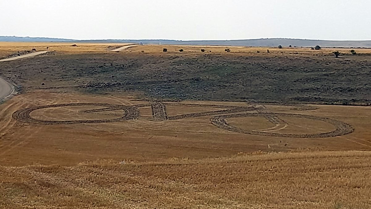 Barcones recibirá a la Vuelta con unas bicicletas gigantes diseñadas en las fichas de cultivo. HDS