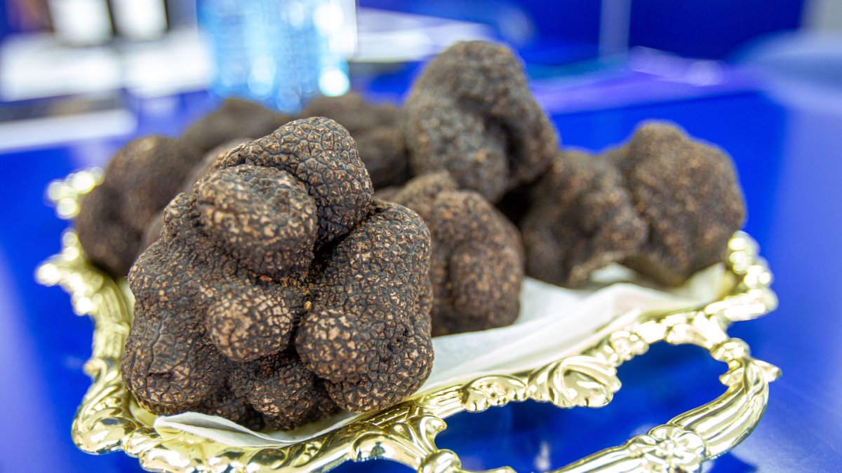 Trufa negra de Soria.-HDS