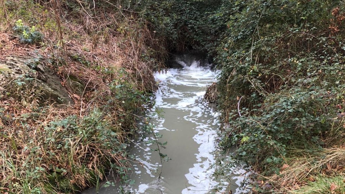 Estado del cauce del río Val.-AYTO DE LOS FAYOS