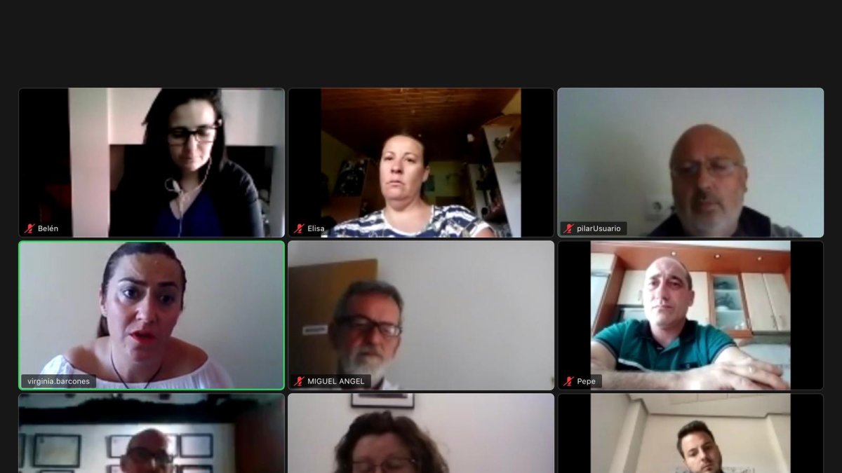 Responsables socialistas en la reunión telemática.-HDS