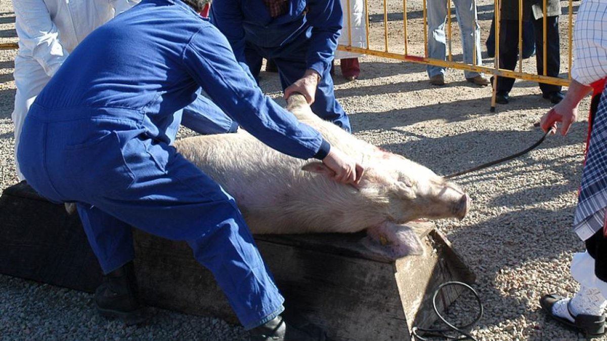 Matanza en Arcos de Jalón.-V.G.