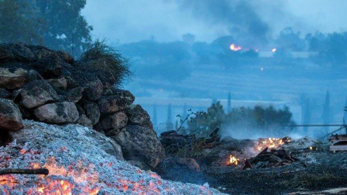 Fuego forestal en Israel.-