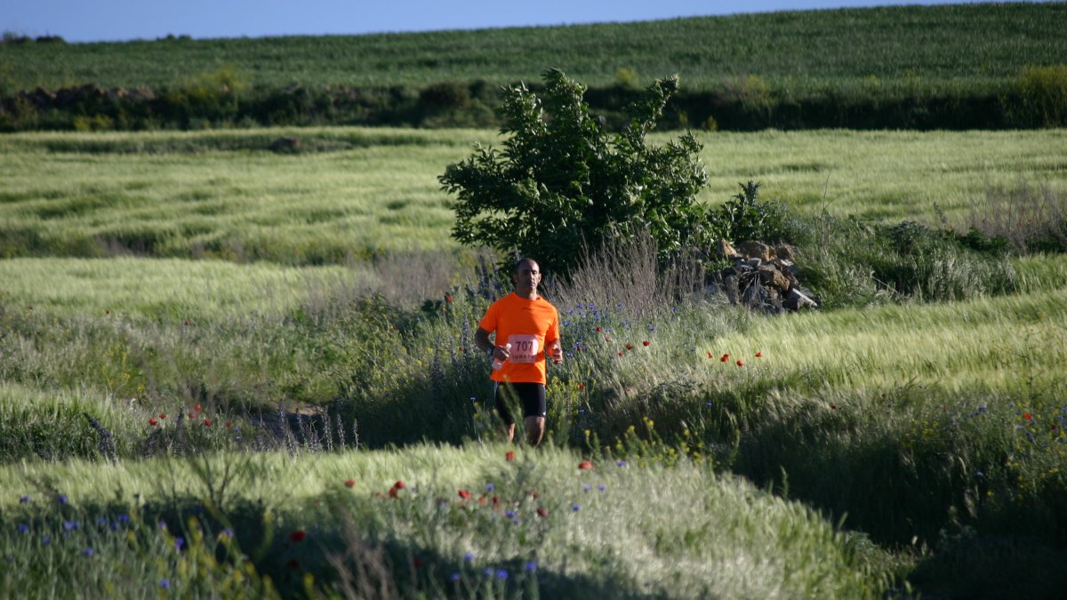 Última edición del Cross Campo a través de Valdelagua del Cerro.-HDS