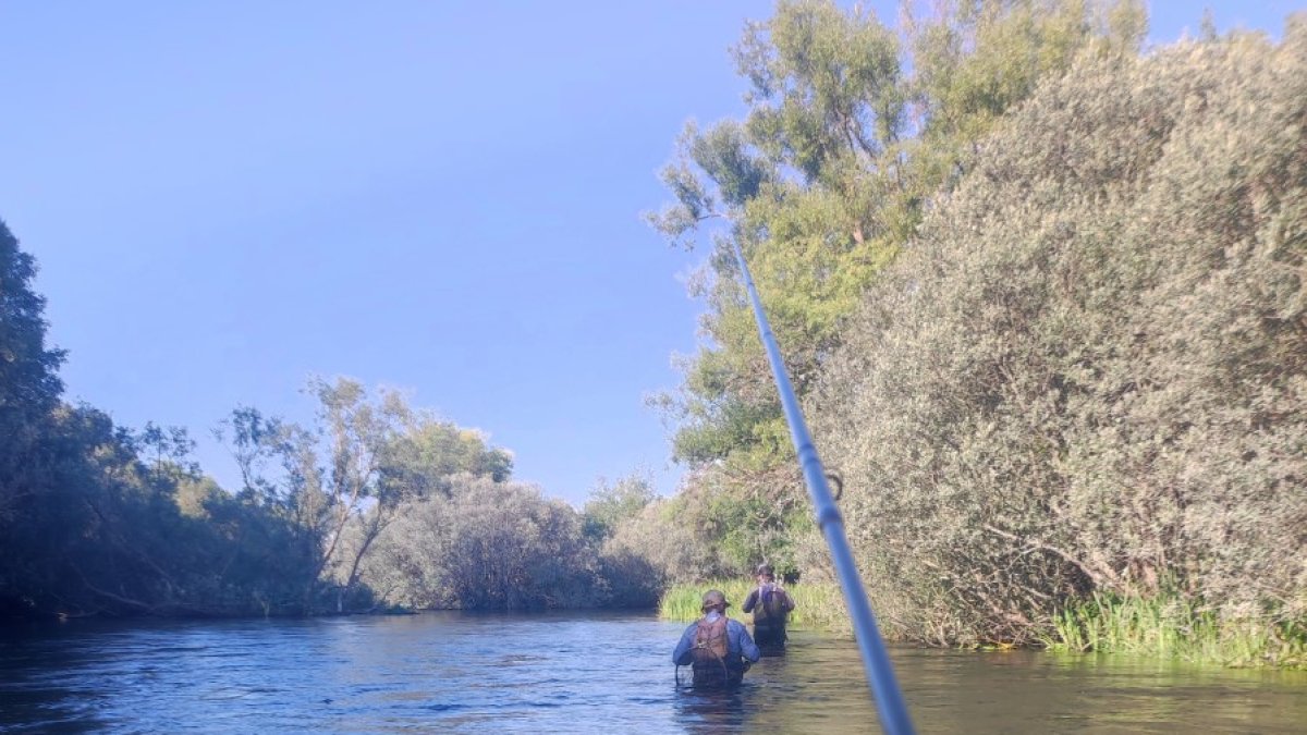 Pescadores en el coto de Langosto. A.C.
