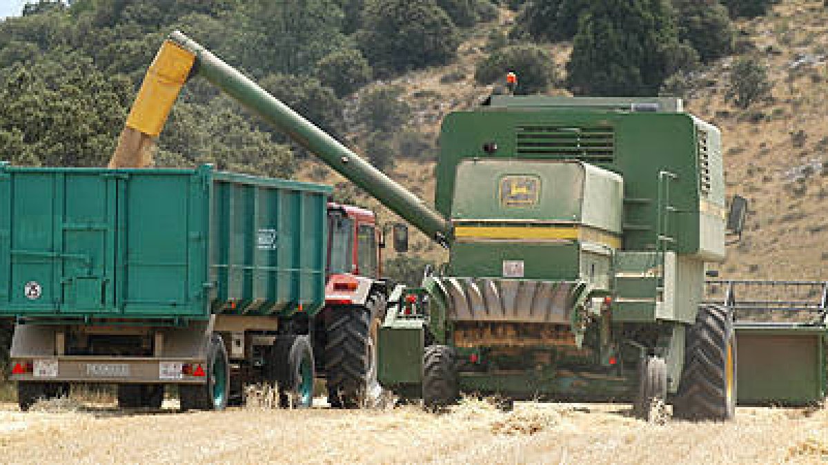 Un agricultor realizando las labores de cosecha./ V. G. -